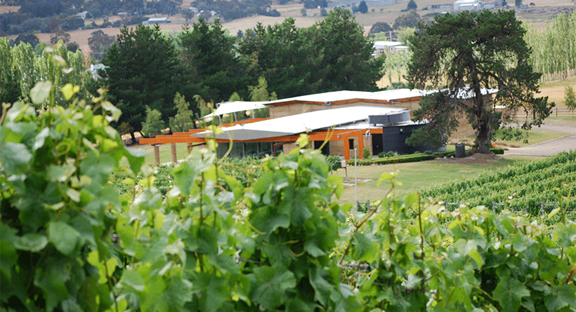 Home Hill Vineyard